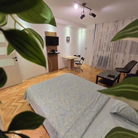 Azzurro Studio Apartment Belgrad Exteriör bild