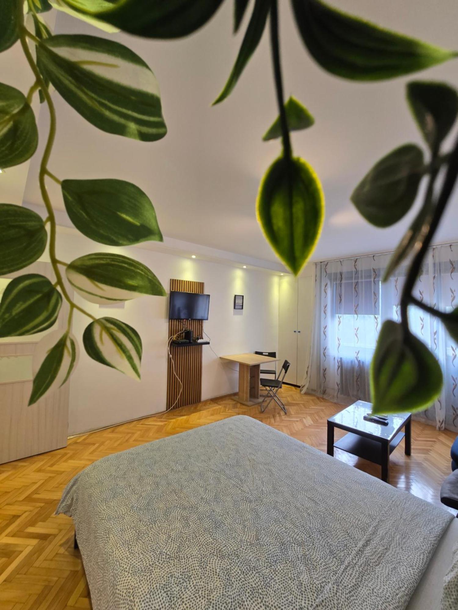 Azzurro Studio Apartment Belgrad Exteriör bild