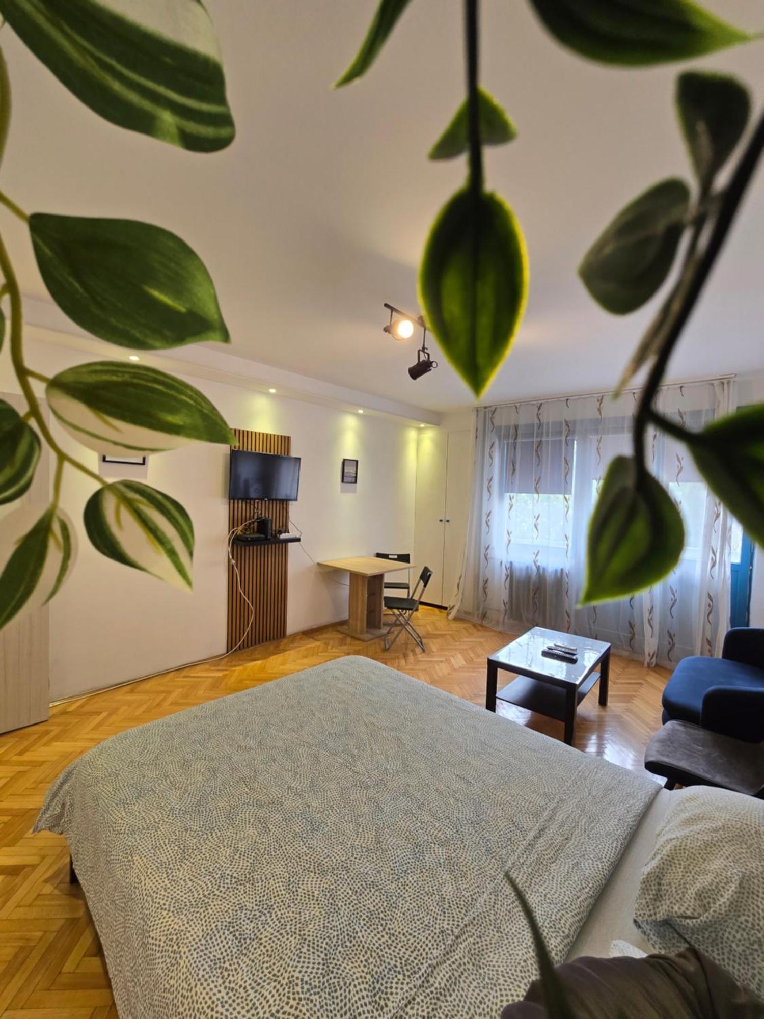 Azzurro Studio Apartment Belgrad Exteriör bild